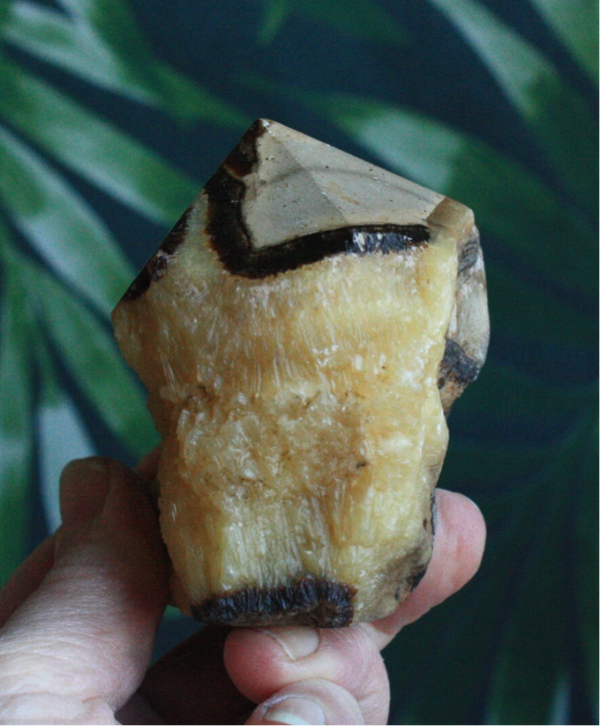 Septarie generator 02