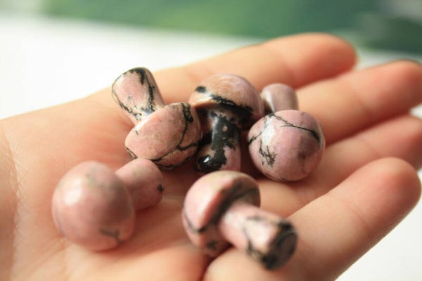 Rhodoniet mini paddenstoel