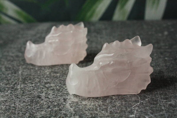 Rozenkwarts drakenhoofd