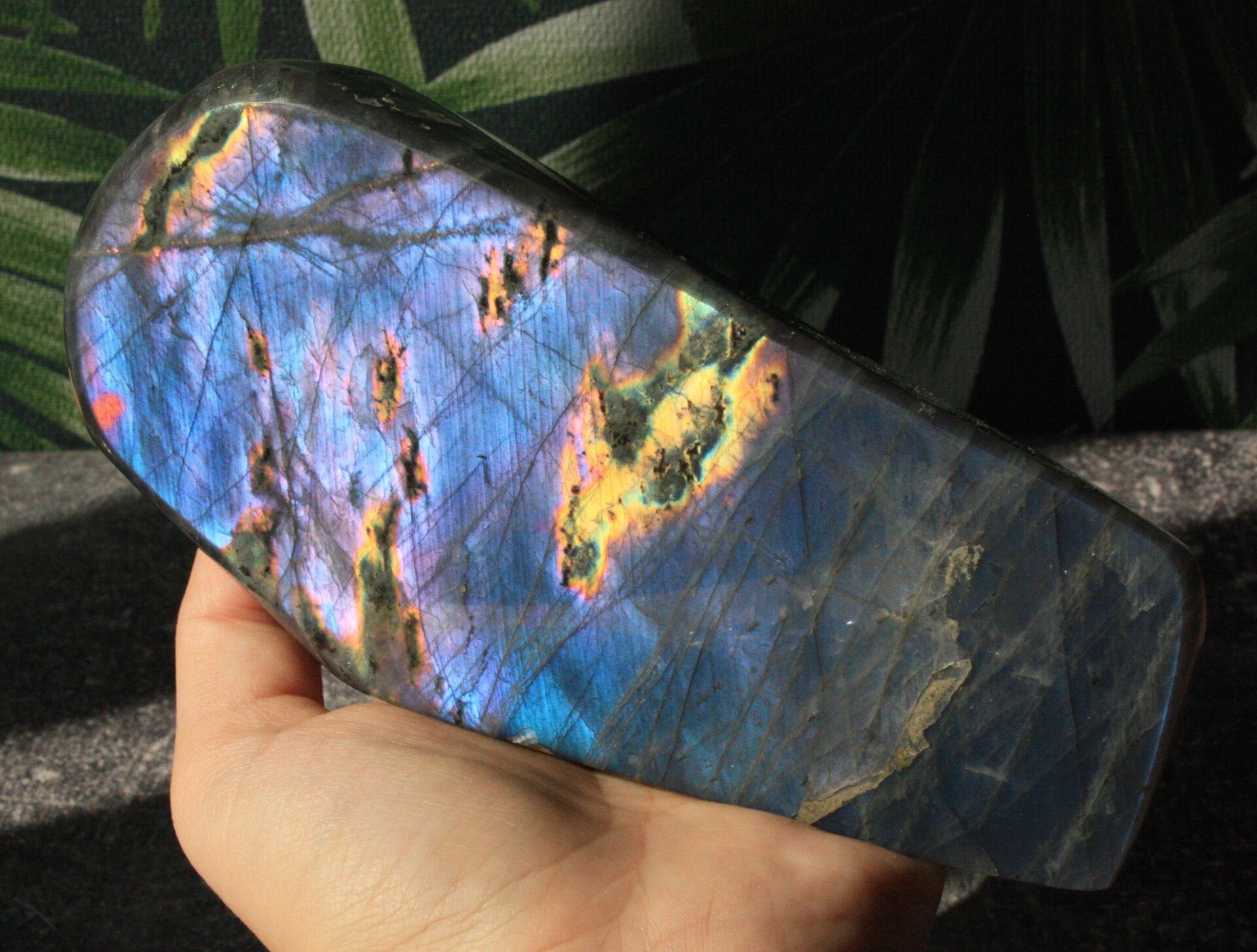 Labradoriet freeform 02