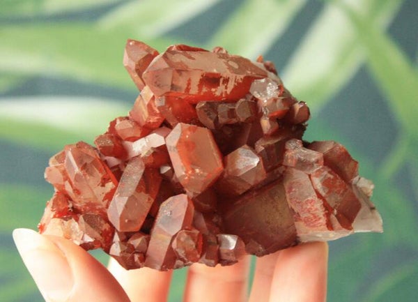 Red healer cluster 03