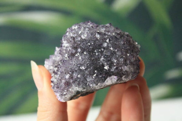 Amethist pine cluster 01