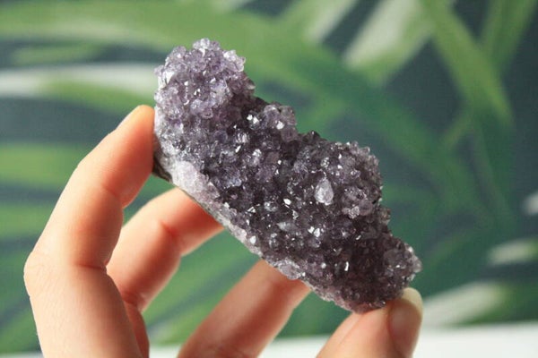 Amethist pine cluster 02