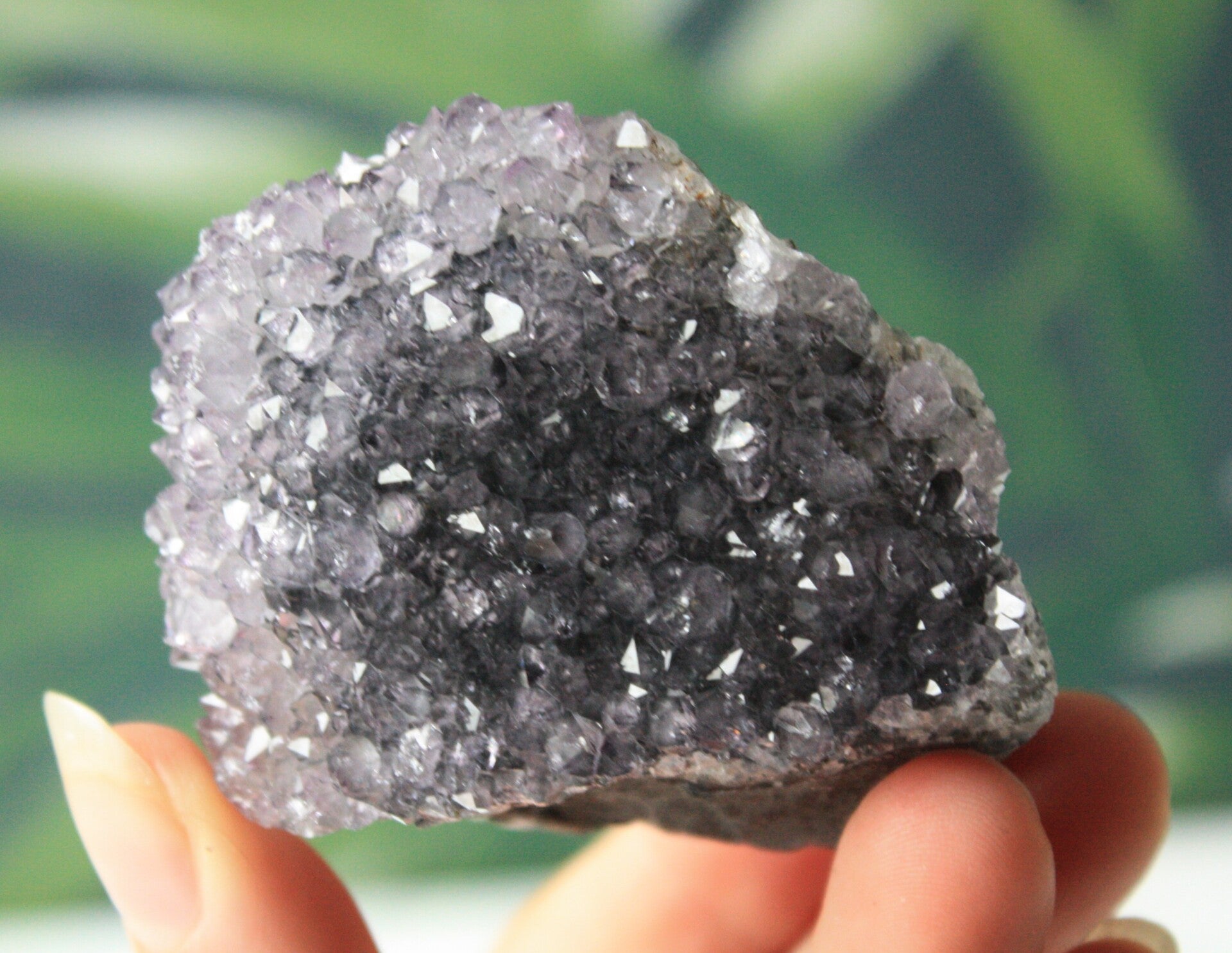 Amethist pine cluster 03