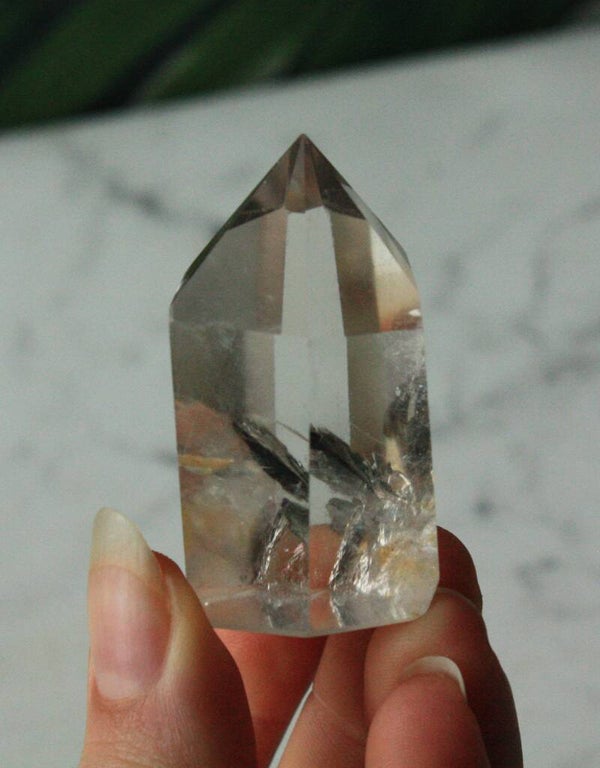 Lodoliet torentje 01 (S)