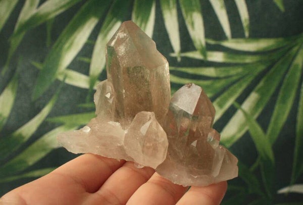 Rookkwarts cluster 02