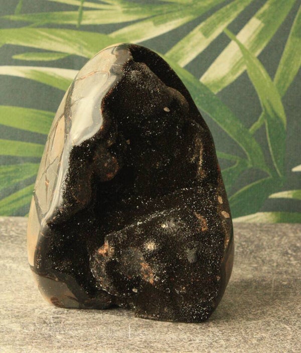 Septarie wild cutbase 02