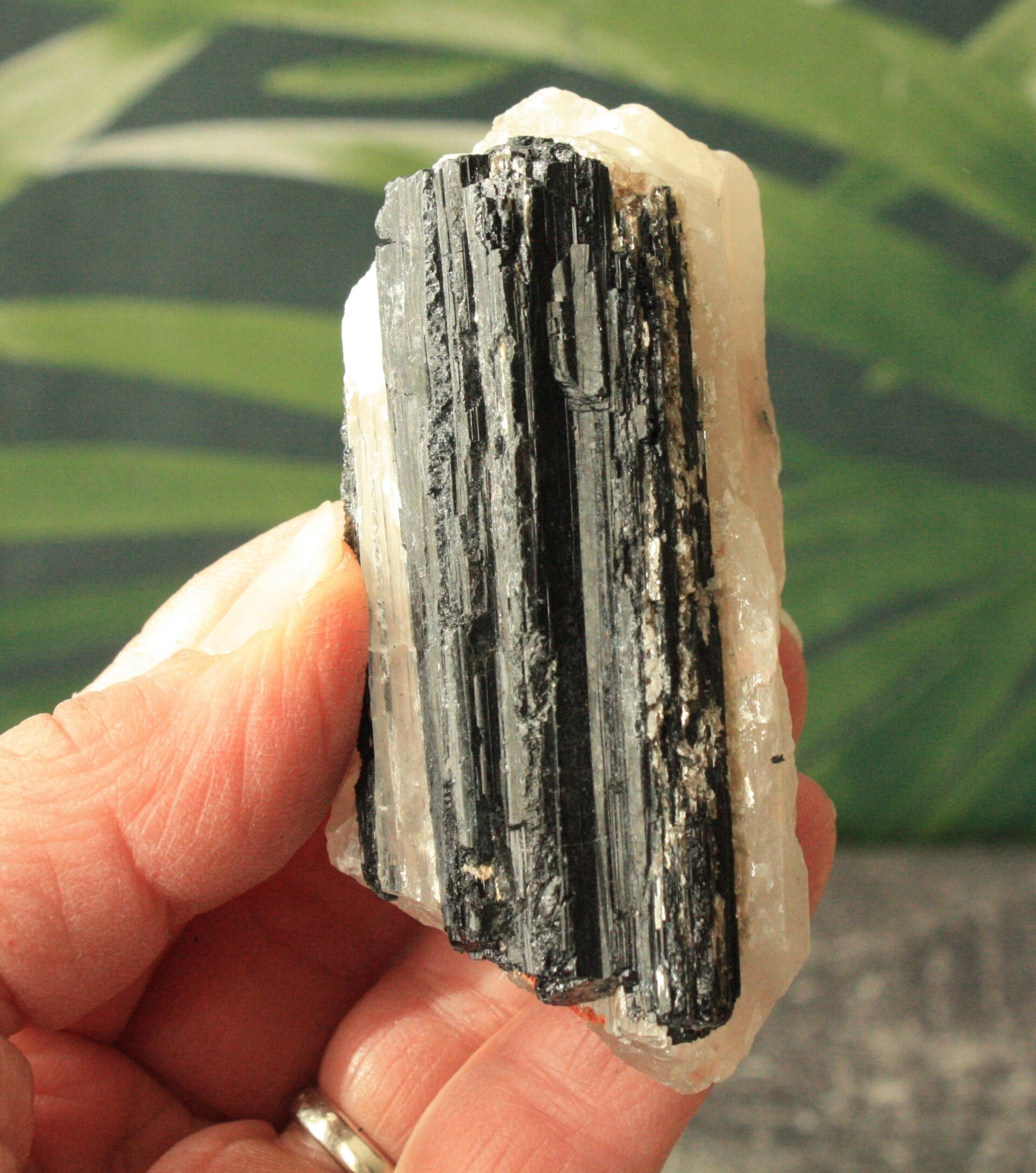 Toermalijn in kwarts 04