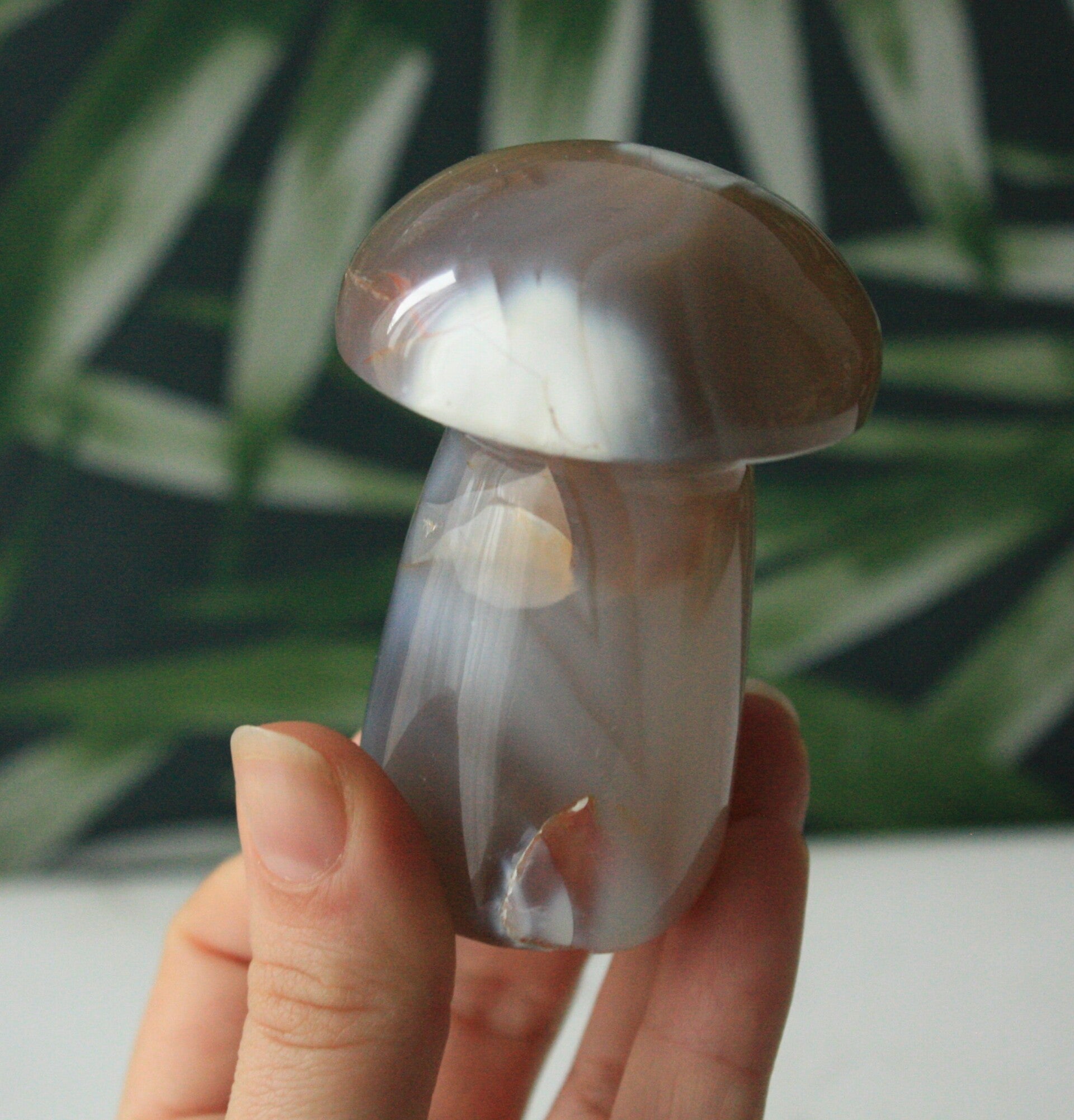 Agaat paddenstoel 03