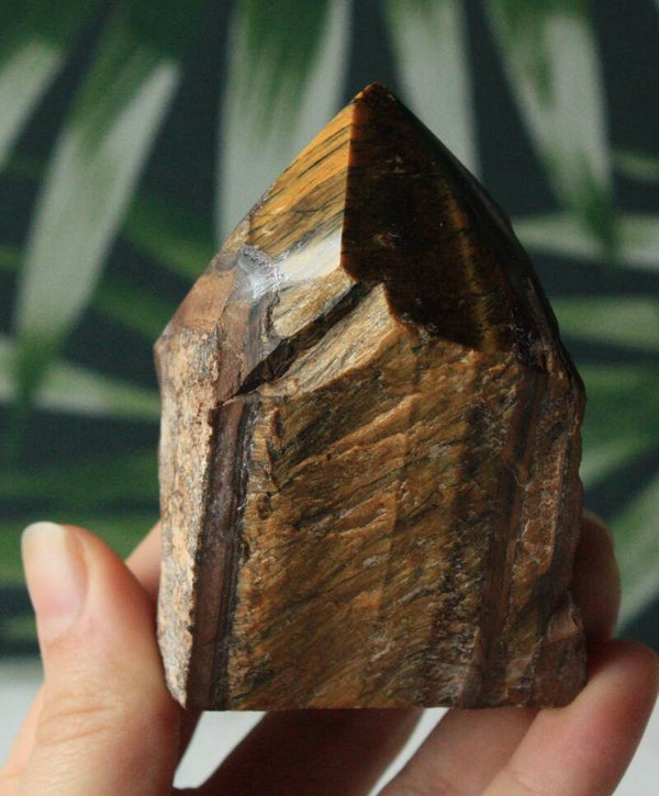 Tijgeroog generator 01