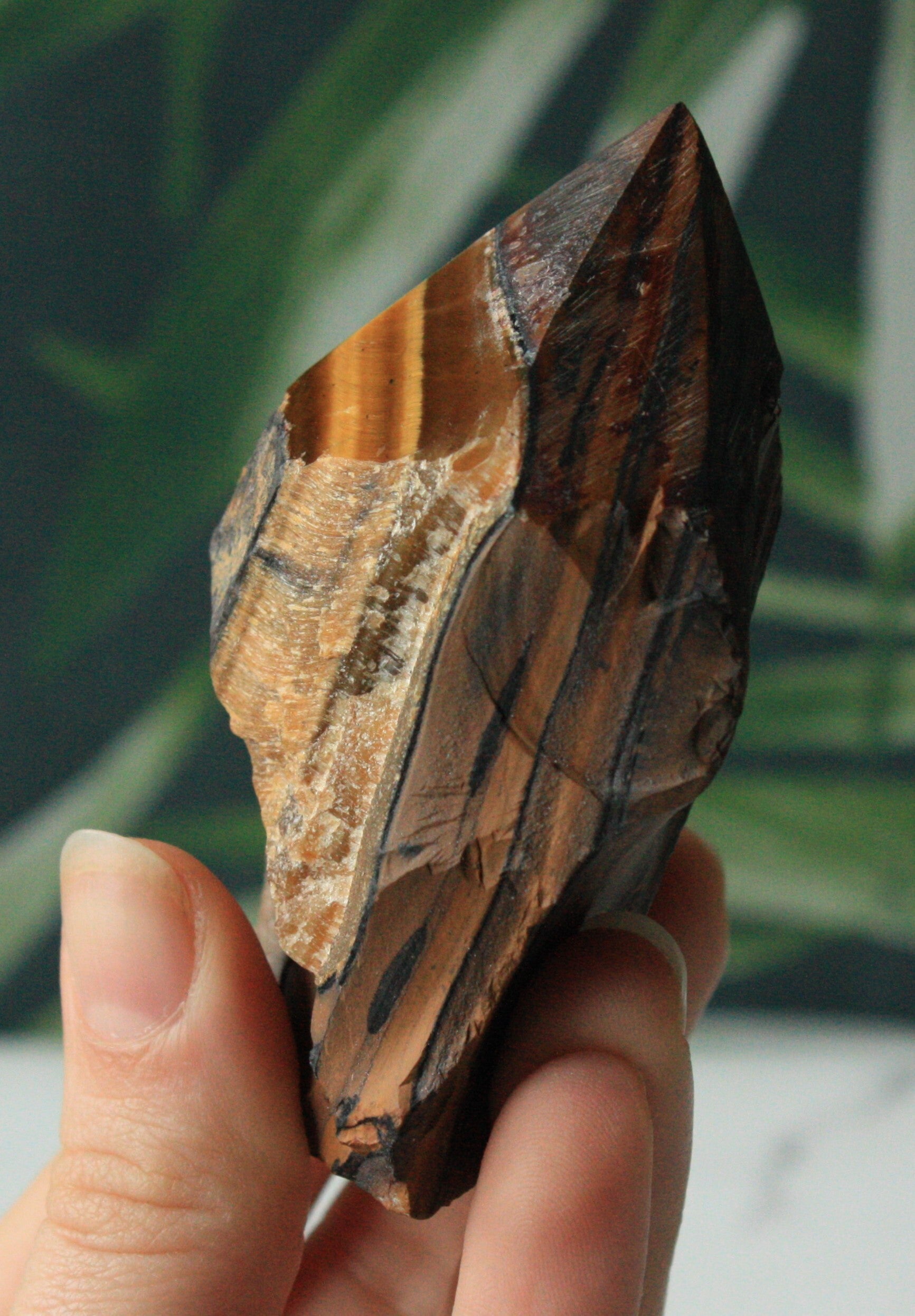 Tijgeroog generator 02