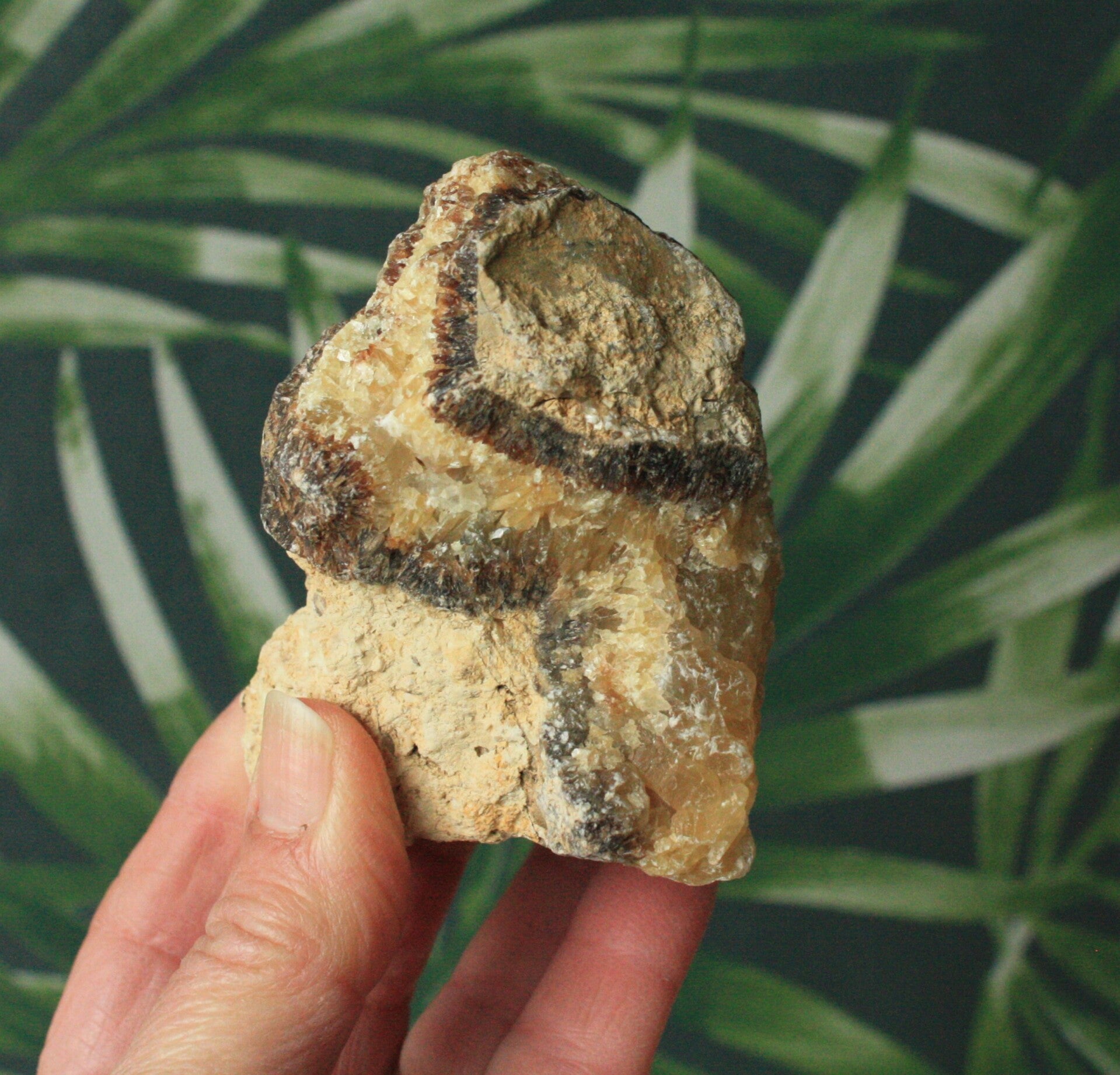 Septarie ruw stuk 02