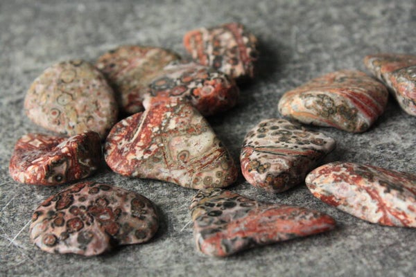 Jaspis luipaard trommelsteen (plat)