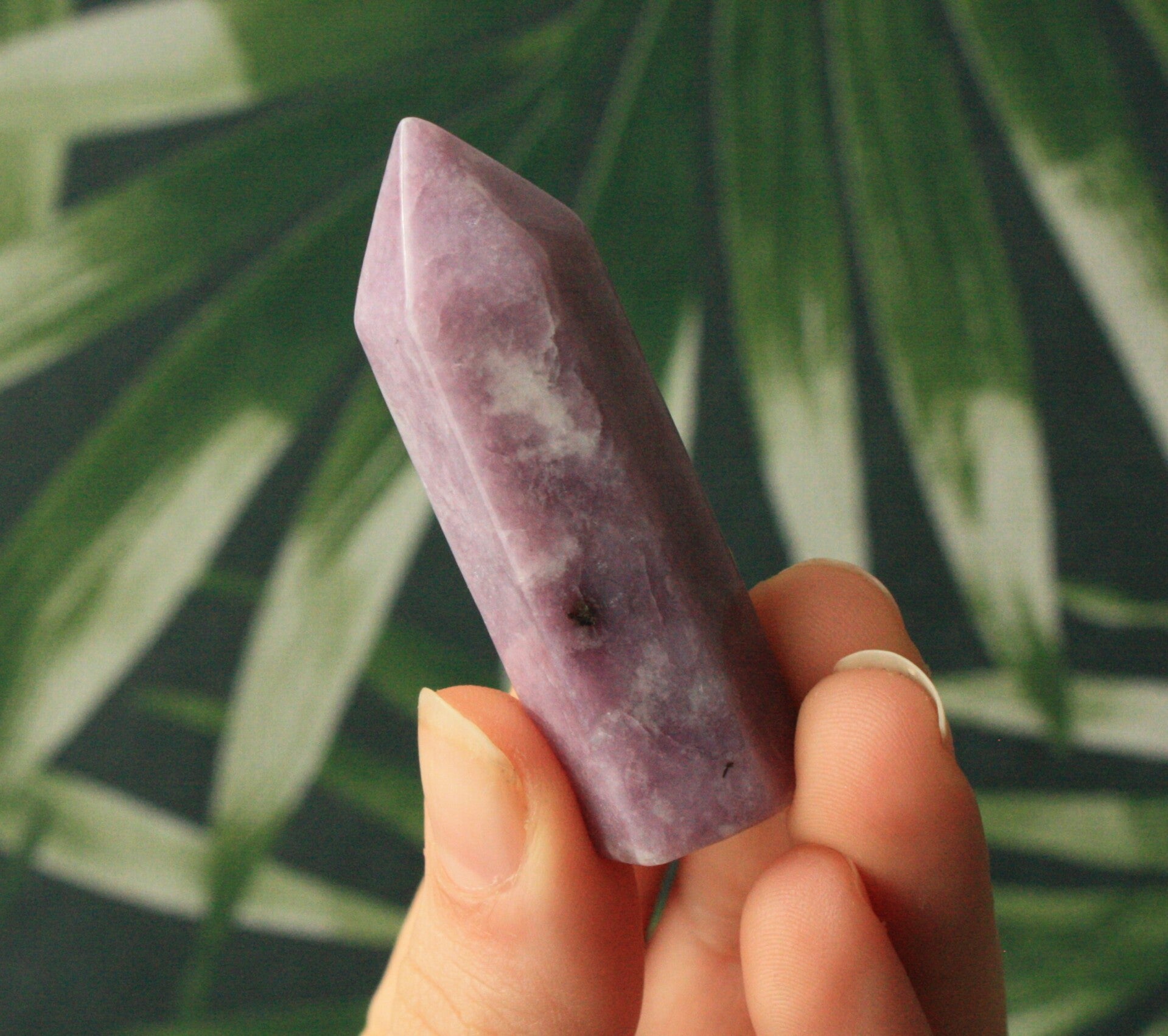 Lepidoliet toren 01 (S)