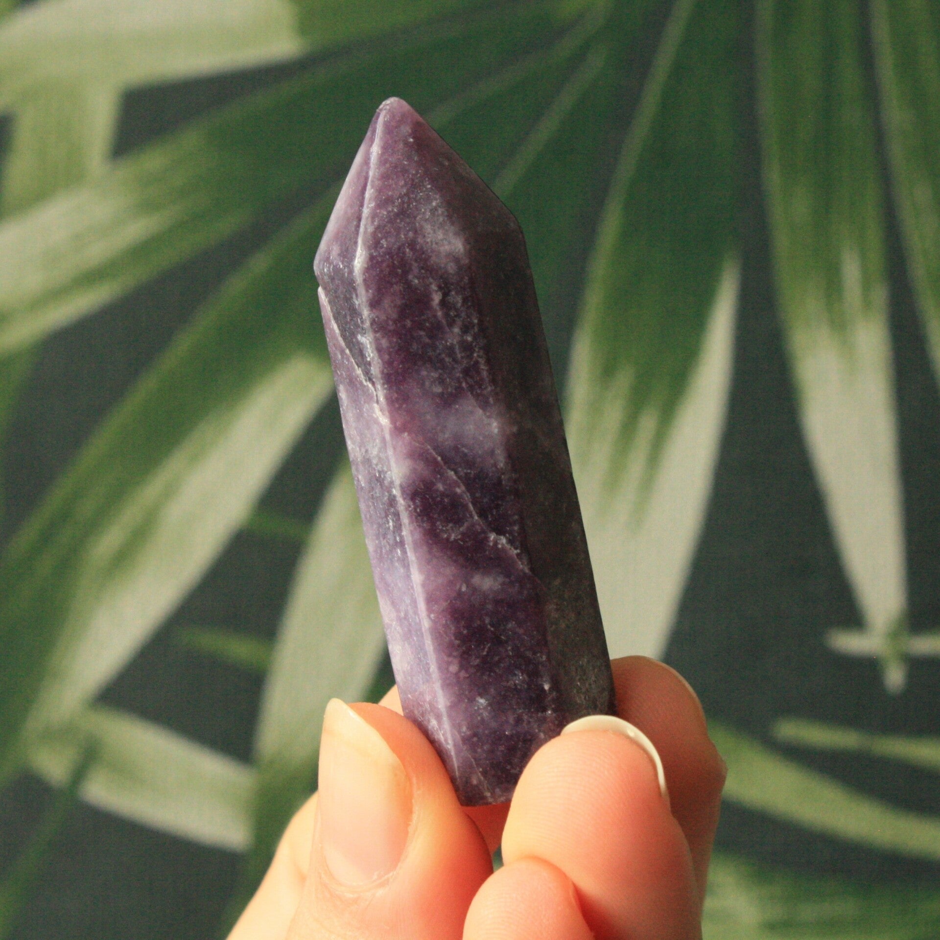 Lepidoliet toren 02 (S)