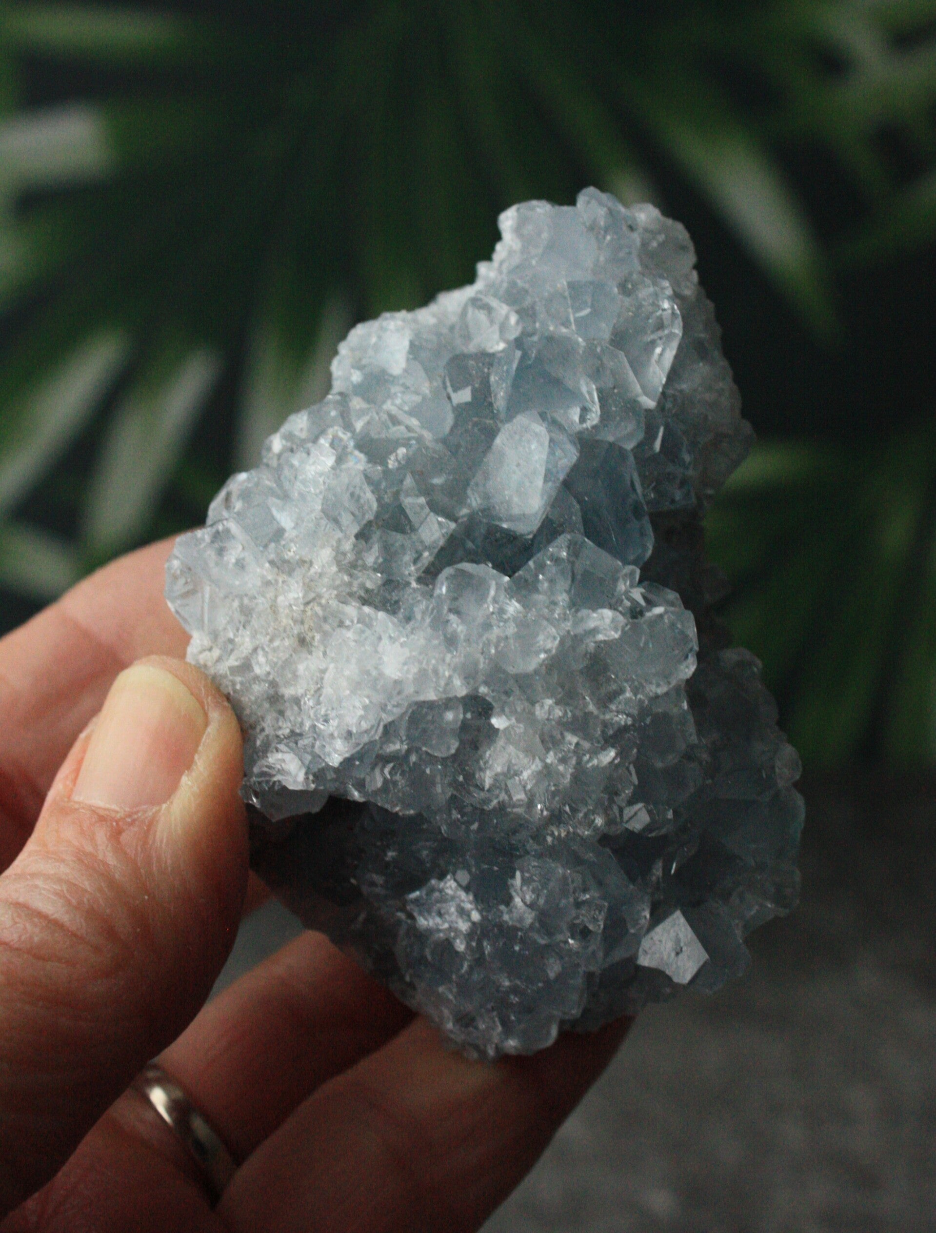 Celestien cluster 01