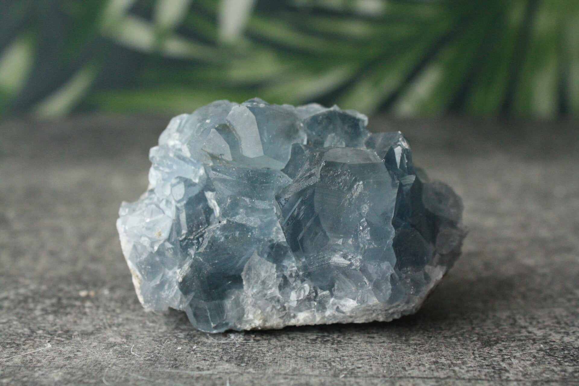 Celestien cluster 06