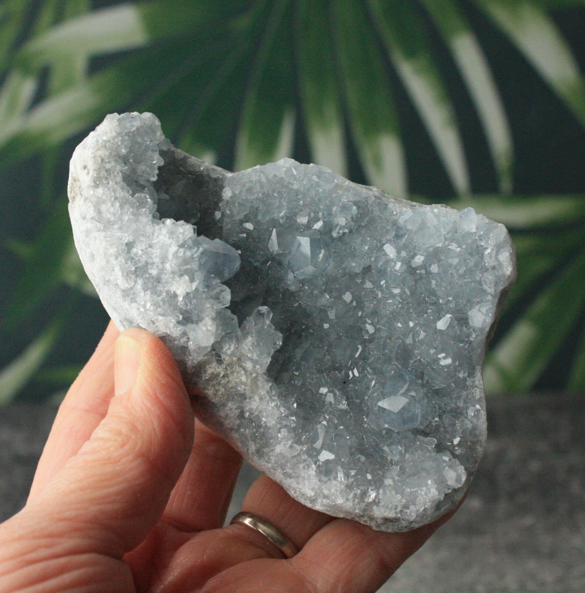 Celestien cluster 07