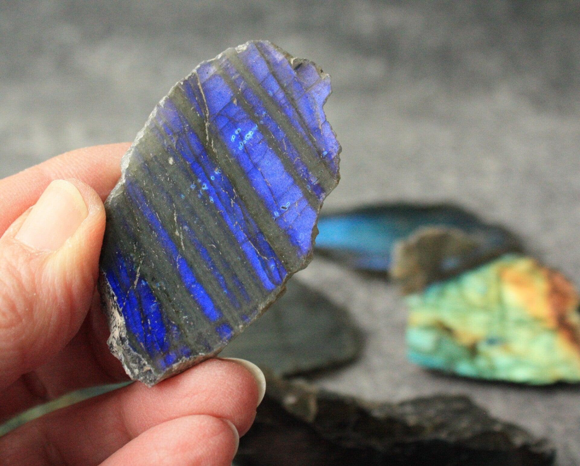 Labradoriet schijfje