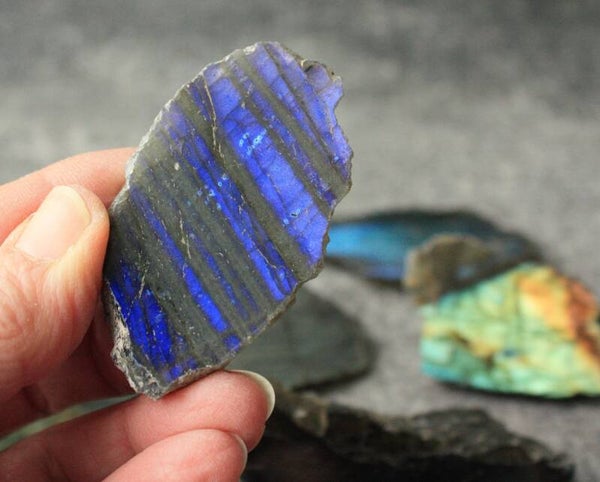 Labradoriet schijfje