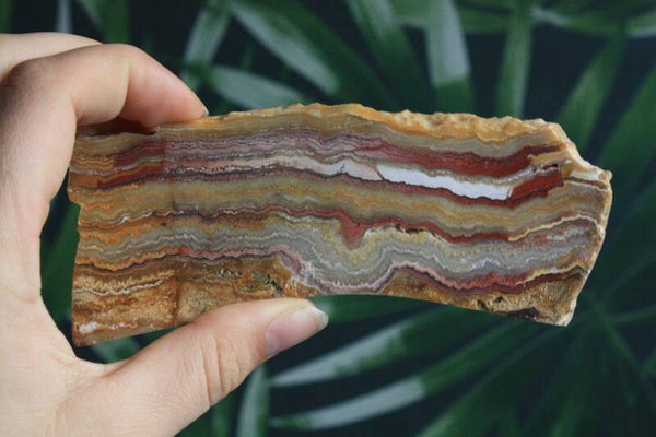 Agaat crazy lace schijf 01