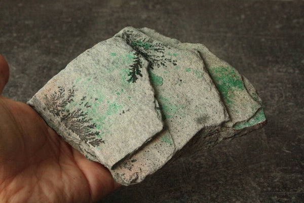 Dendriet in matrix 01