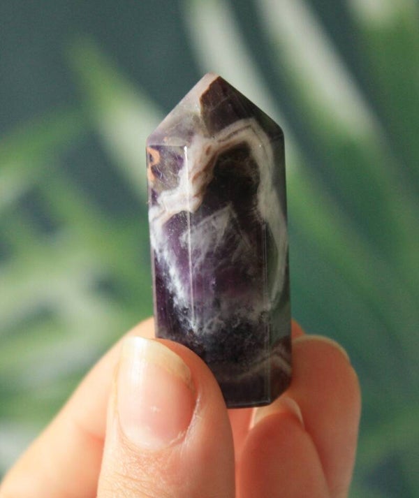 Amethist dog teeth toren 01