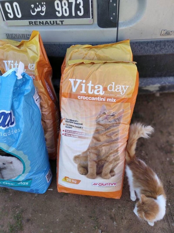DRY FOOD / CROQUETTES FOR CATS & DOGS