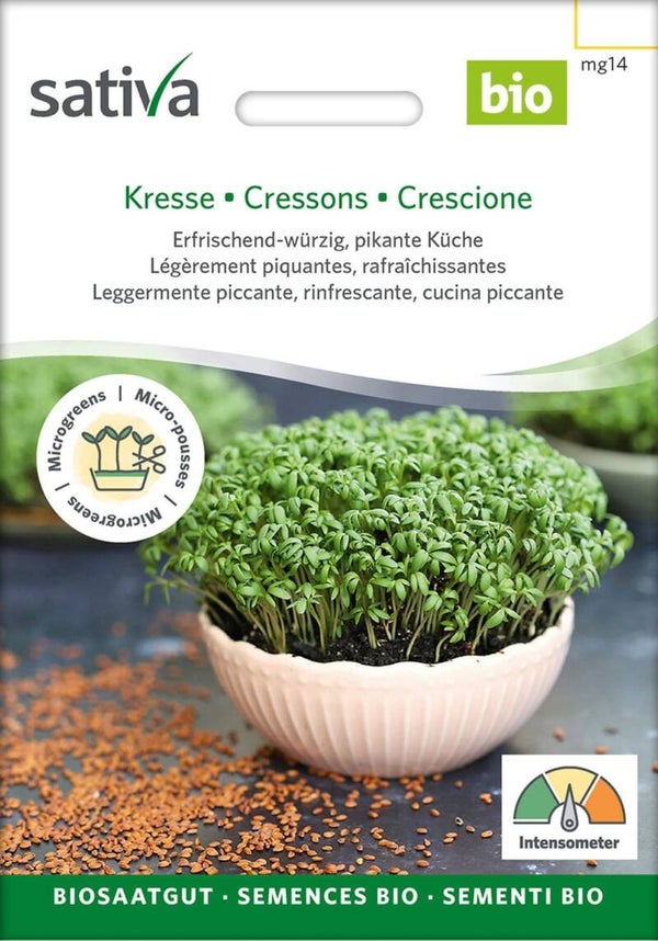 Kresse (Keimsprossen) - Sprossensamen