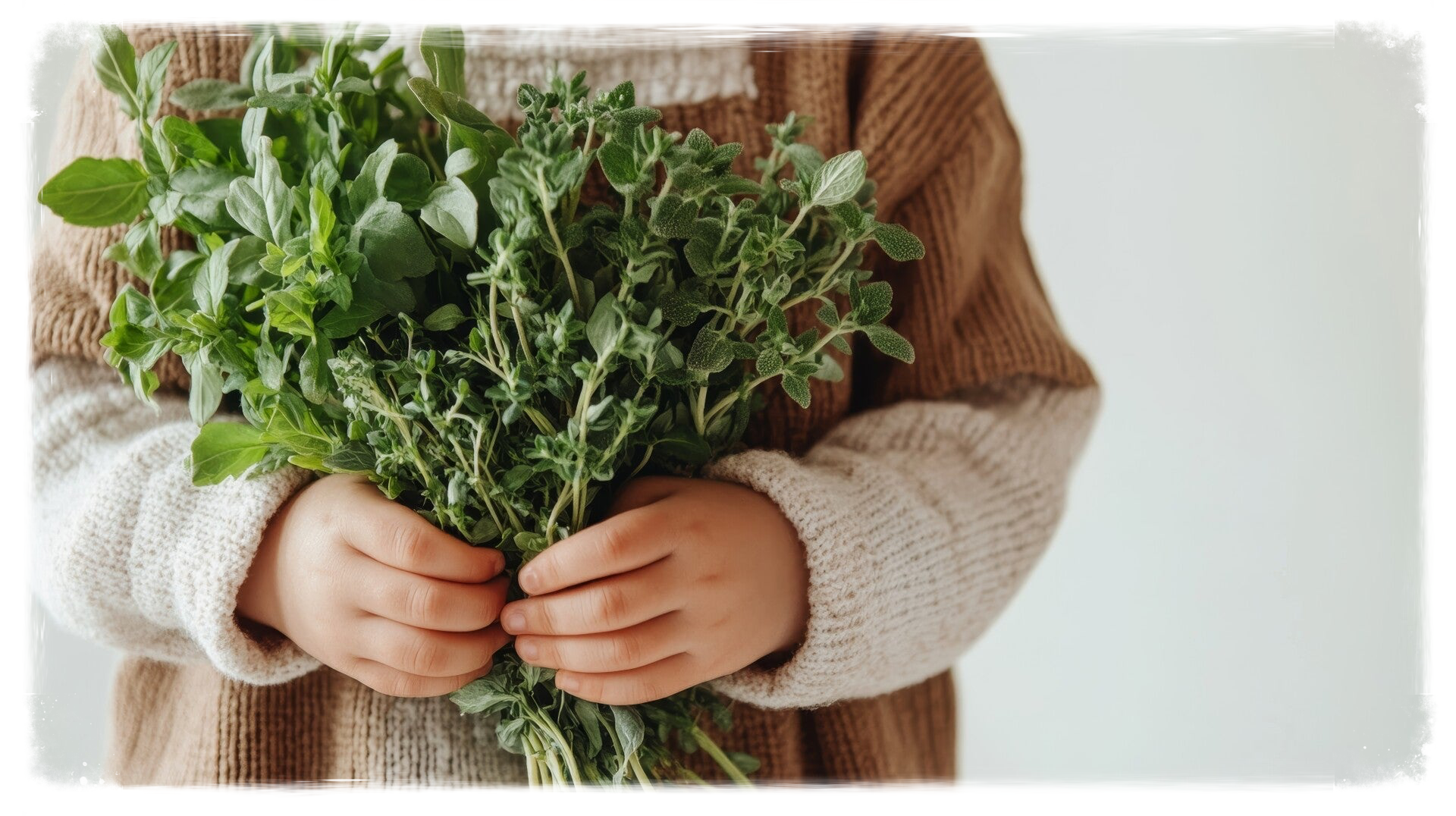 Frühlingskräuter & Vitalstoffe