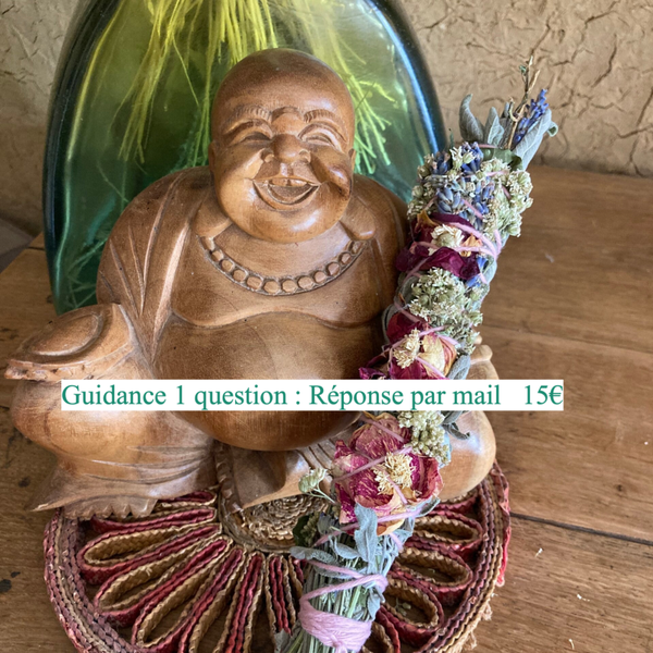 GUIDANCE 1 QUESTION ( réponse par mail )