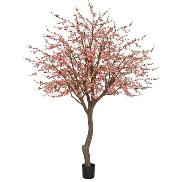 2.9m Cherry Blossom Tree- Pre order