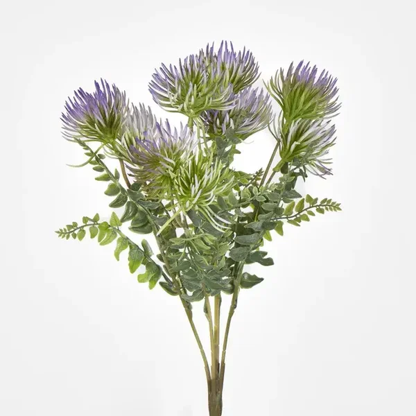 Thistle Bush lots of 12 @ $8.99 each