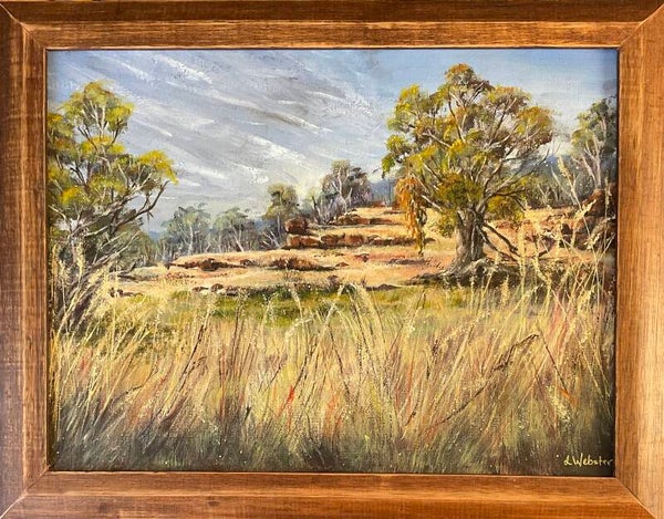 Hills Near Euroa