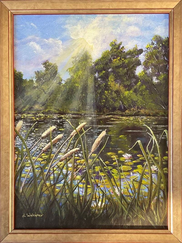 Lilies on Lake Benalla