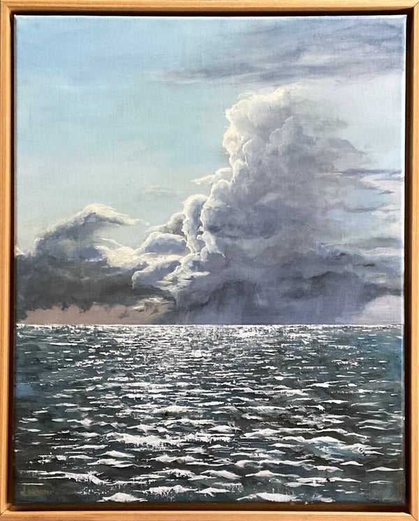 Tropical Storm Clouds