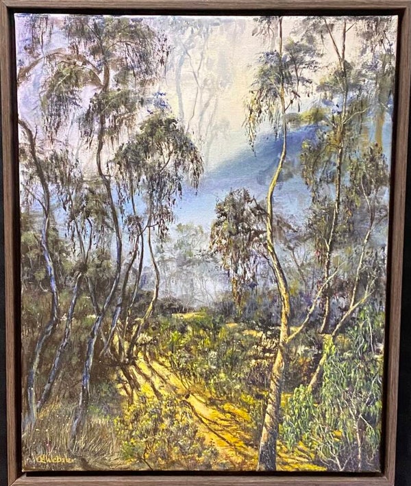 Bush Morning
