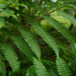 1de4cc49-34e0-4509-853d-45bfd71dd889-11269-00000512d0039eed-standard.jpg