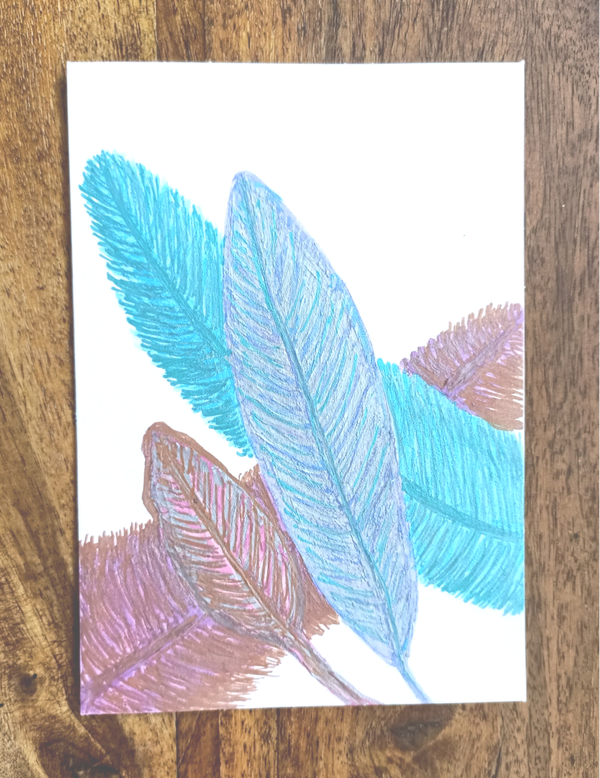 Carte postale rose plumes