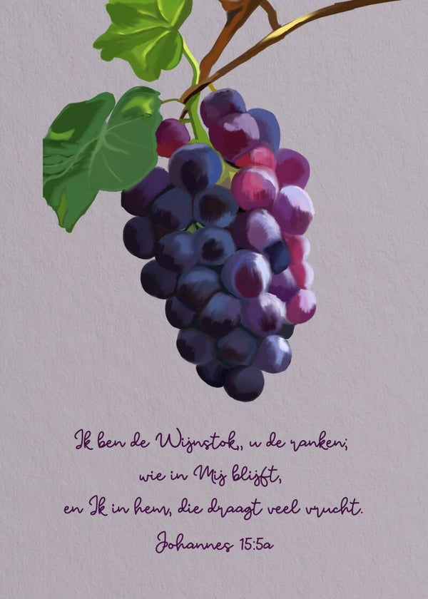 De Wijnstok A6