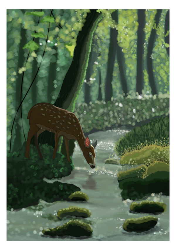 Levenslust A4 fine art prints