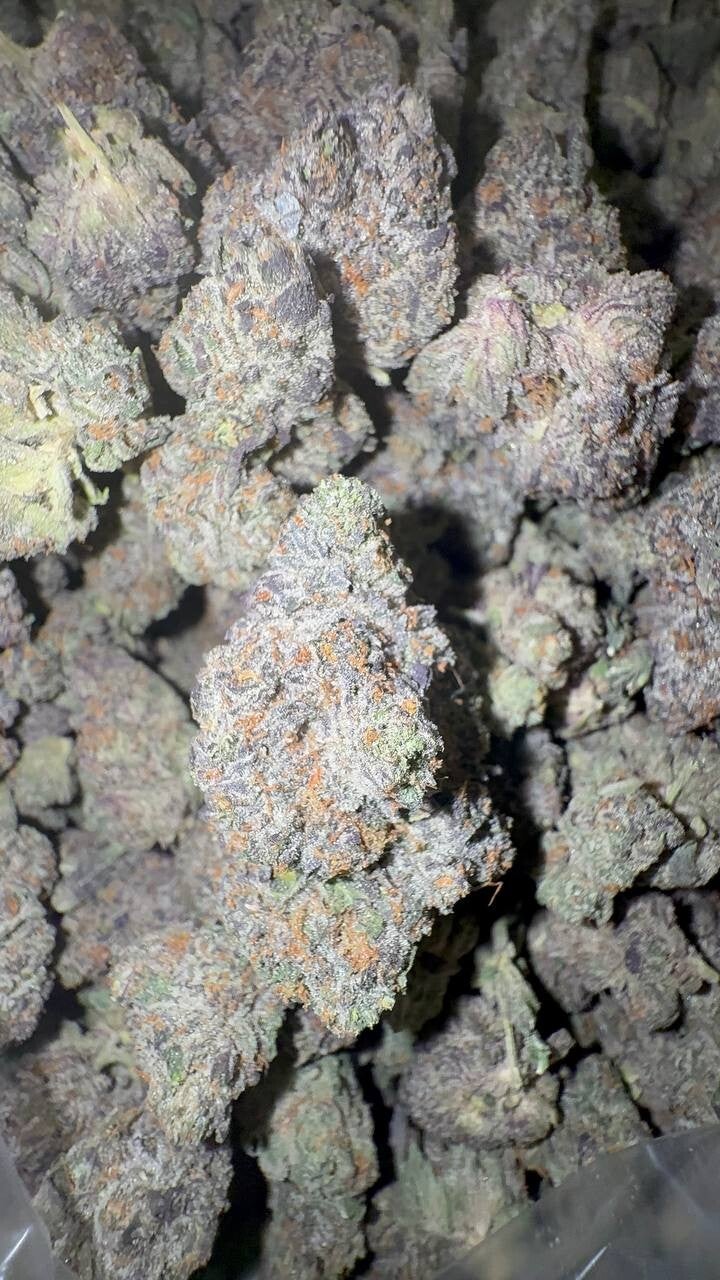 americane-lbs23-03-01-22-standard-r97qeq.jpg