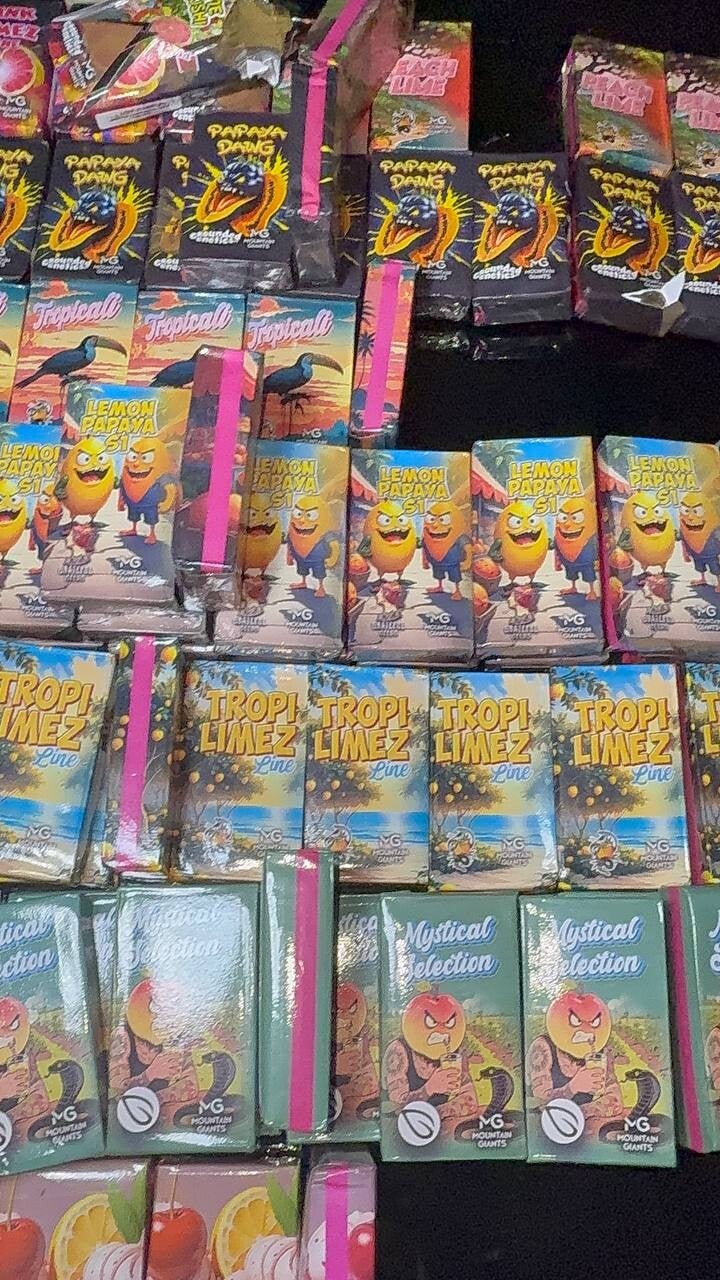 frozen-premium-mp4po-standard.jpg