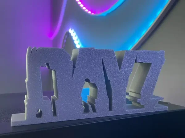 DAY Z Logo