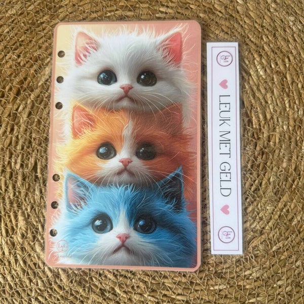Voorblad 3 Cats