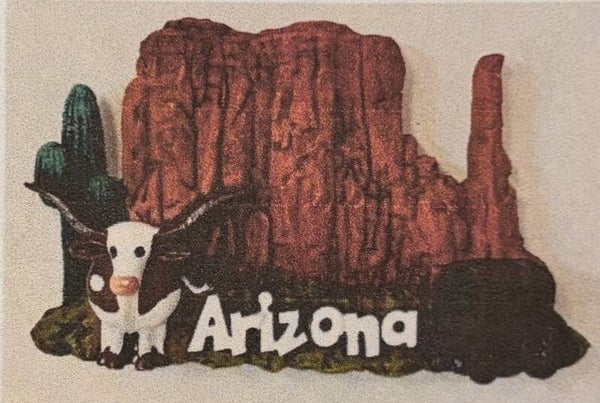 Az Mountain & Cactus Magnet MT950