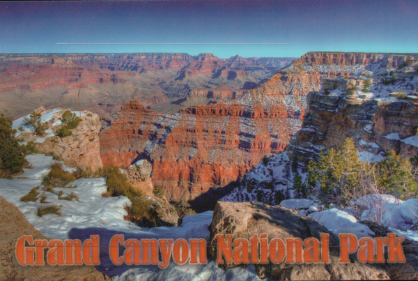 Postcard 2010 Pack of 50