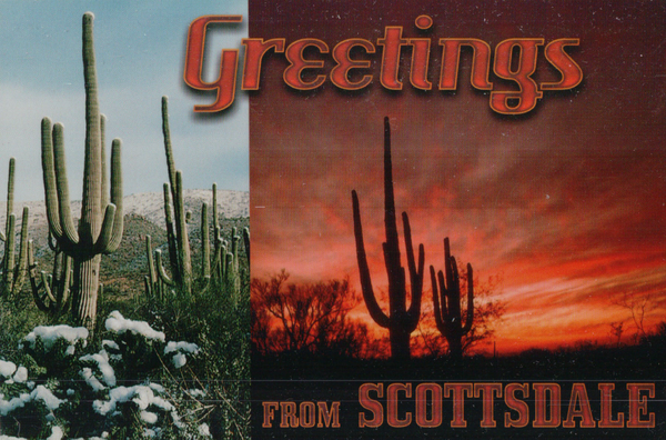 Postcard 800 Pack of 50