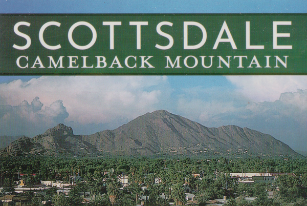 Postcard 0830 Pack of 50