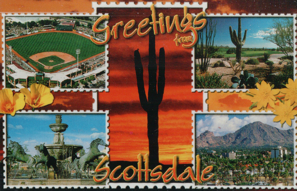 Postcard 801 Pack of 50